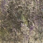 私が絵を描かなければいけない本当の理由