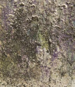 私が絵を描かなければいけない本当の理由