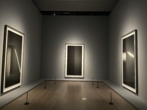 スーパーアーティストたちの美の響宴　STARS展を見よ！ー奈良美智・杉本博司ー