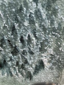 冬の京をゆく__奥貴船　古事の森にて__