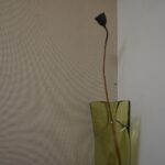 初個展で、画家ではなく、人間としての生き方について考えさせられた話