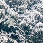 私が冬に死にたいと思う理由