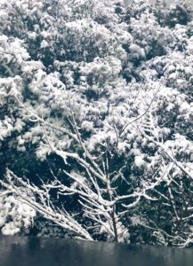 私が冬に死にたいと思う理由